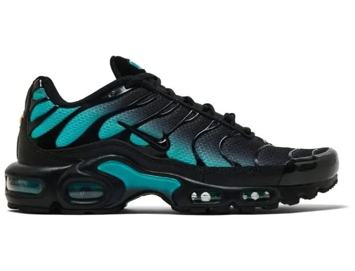 Nike Air Max Plus TN 'Black Dusty Cactus'