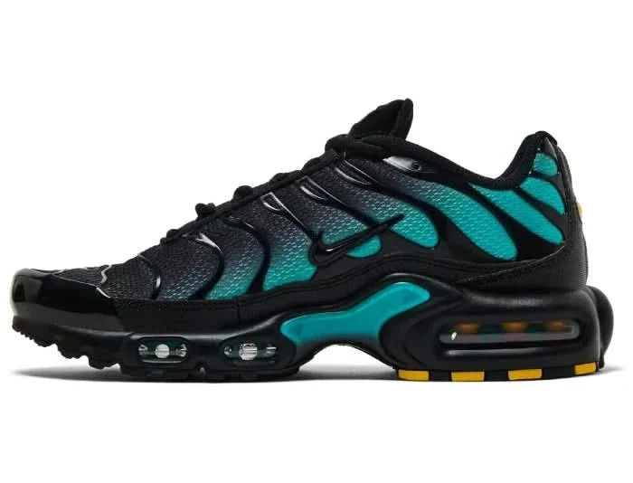 Nike Air Max Plus TN 'Black Dusty Cactus' - Image 2