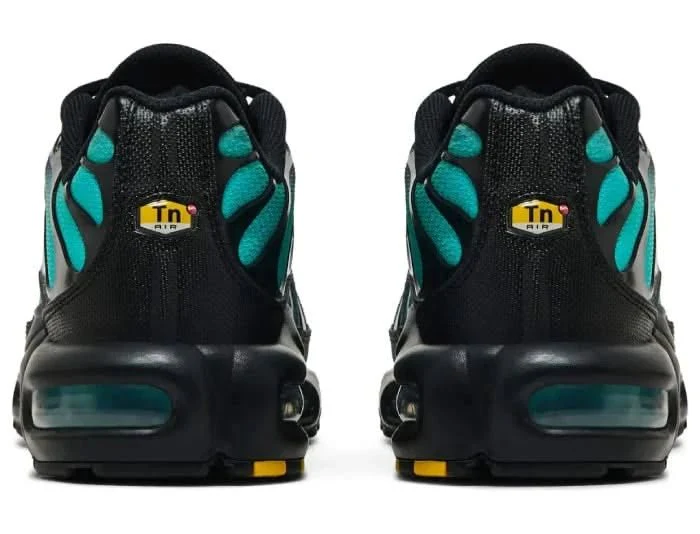 Nike Air Max Plus TN 'Black Dusty Cactus' - Image 3