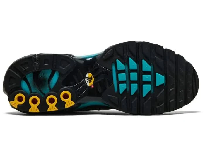 Nike Air Max Plus TN 'Black Dusty Cactus' - Image 4